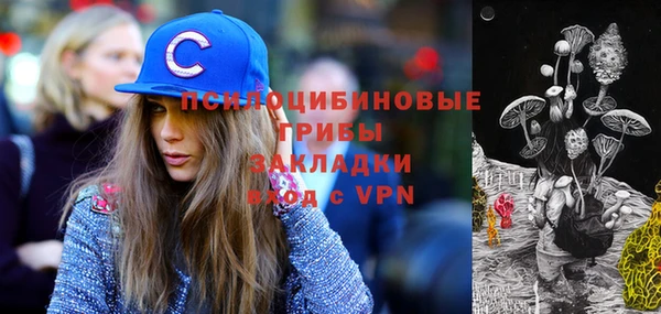 стаф Михайловка
