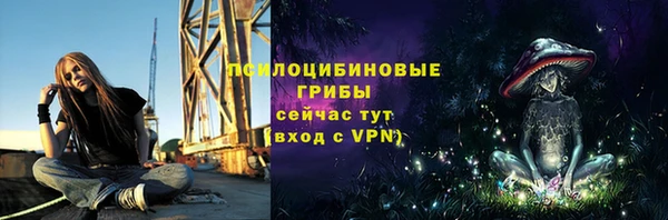 стаф Михайловка