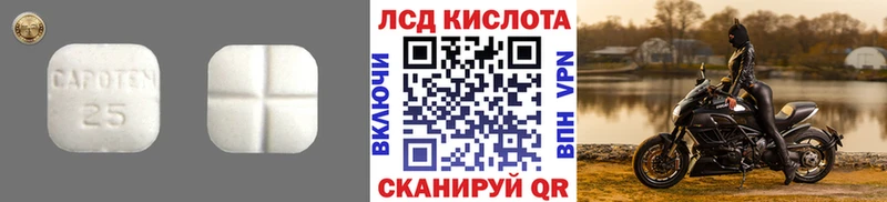LSD-25 экстази ecstasy  Купить где  Каргополь 